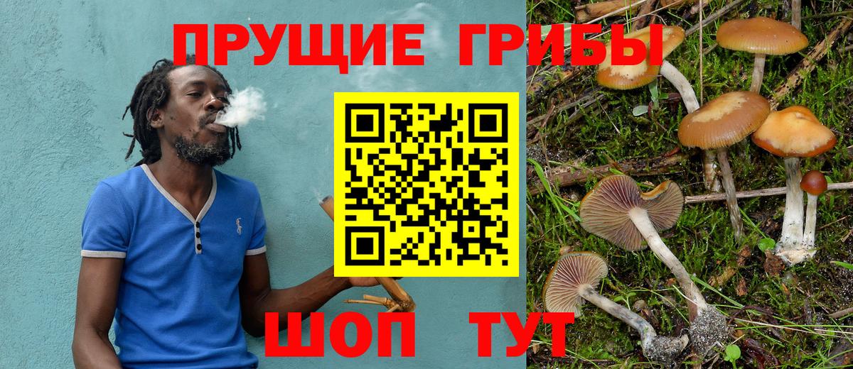 Галлюциногенные грибы мицелий  Вход с VPN  Звенигород 
